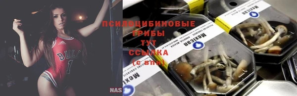 СК Верея